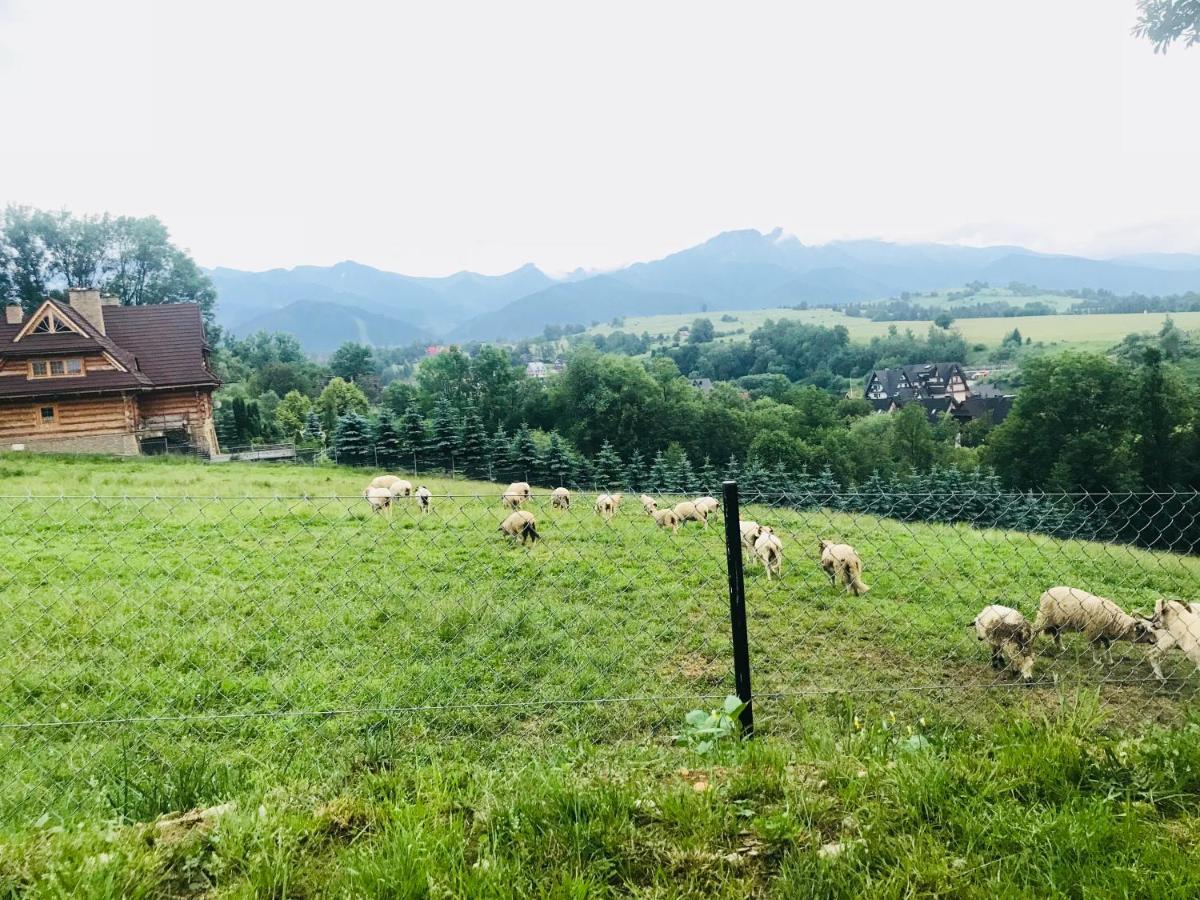 Willa Tatrzanska Zohylina Poronin Esterno foto